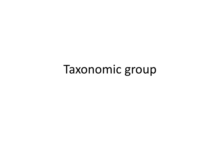 Taxonomic Grouping in Microbiology