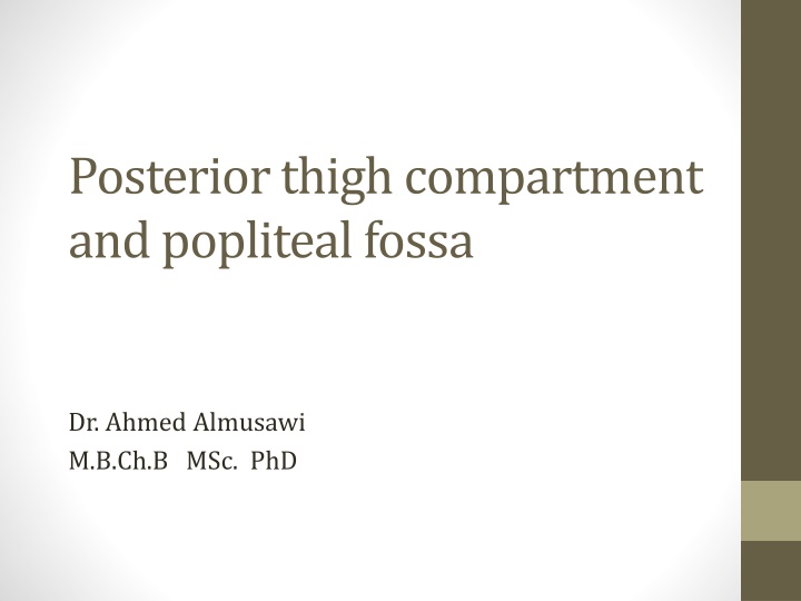 Posterior Thigh Compartment and Popliteal Fossa Overview