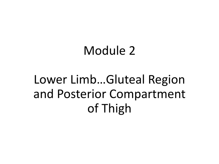 Comprehensive Study of Lower Limb Anatomy and Function
