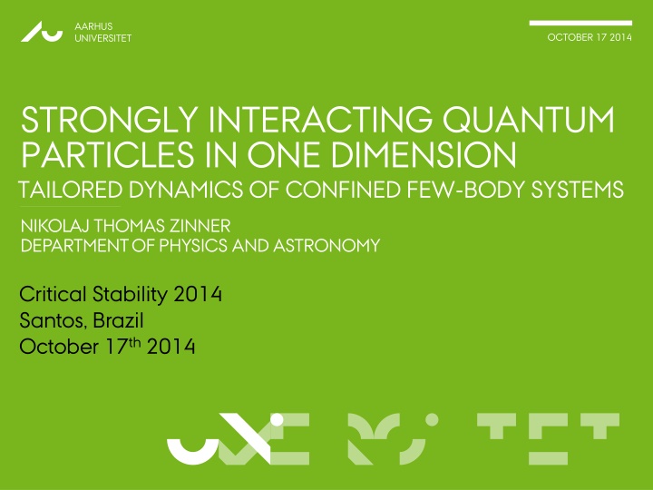 Strongly Interacting Quantum Particles in One Dimension - Research at Aarhus Universitet