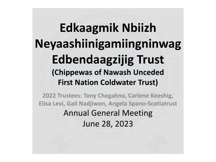 Edkaagmik Nbiizh Neyaashiinigamiingninwag Trust Overview