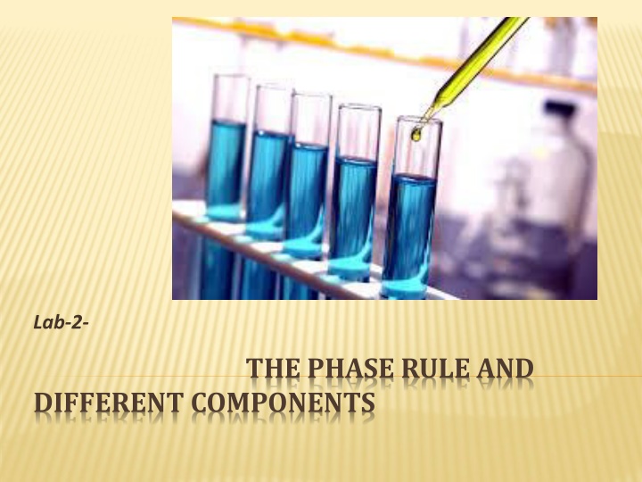 The Phase Rule and Components in Systems