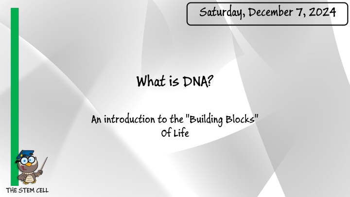 DNA: The Building Blocks of Life