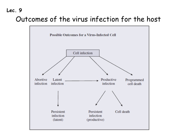 Outcomes of the virus infection for the host