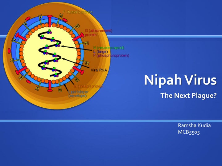 Nipah Virus: A Comprehensive Overview