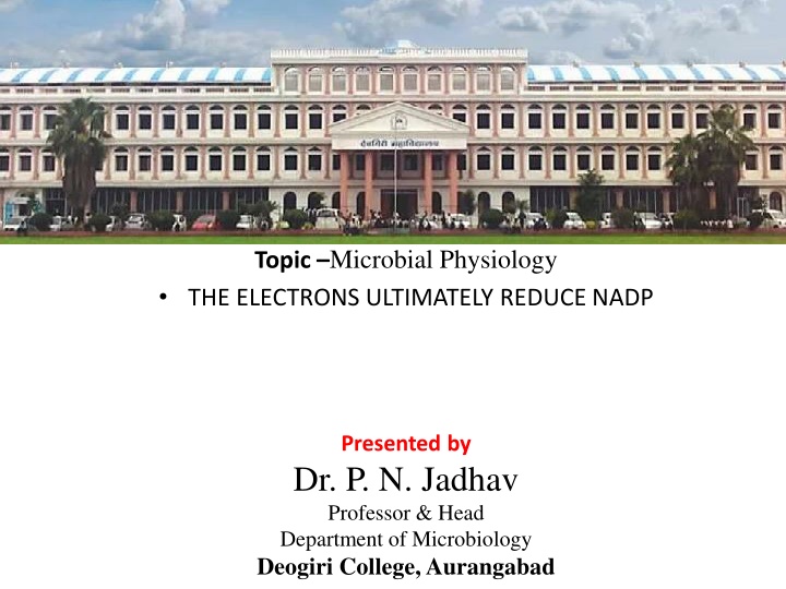 Microbial Physiology: The Electron-NADP Reduction Pathway