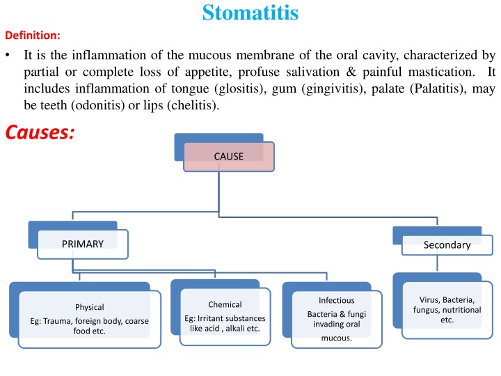 Stomatitis: Causes, Symptoms, and Treatment Options