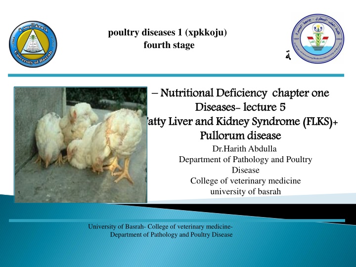 Fatty Liver and Kidney Syndrome (FLKS) in Poultry: Causes and Symptoms
