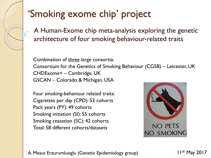 Genetic Architecture of Smoking Behavior Traits: Meta-Analysis Insights