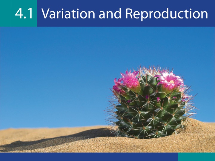 Genetic Variation in Plants and Animals