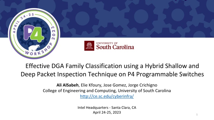 Effective DGA Family Classification Using Hybrid Inspection on P4 Switches