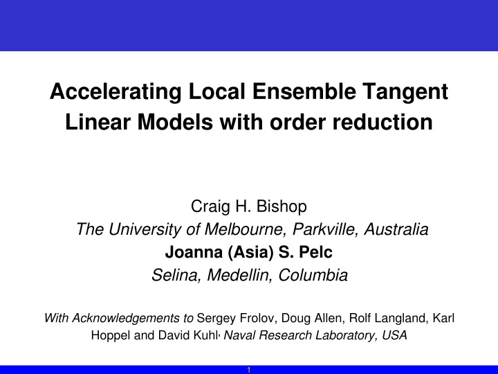 Accelerating Local Ensemble Tangent Linear Models