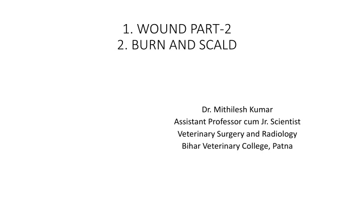 Factors Affecting Delayed Wound Healing and Remedies