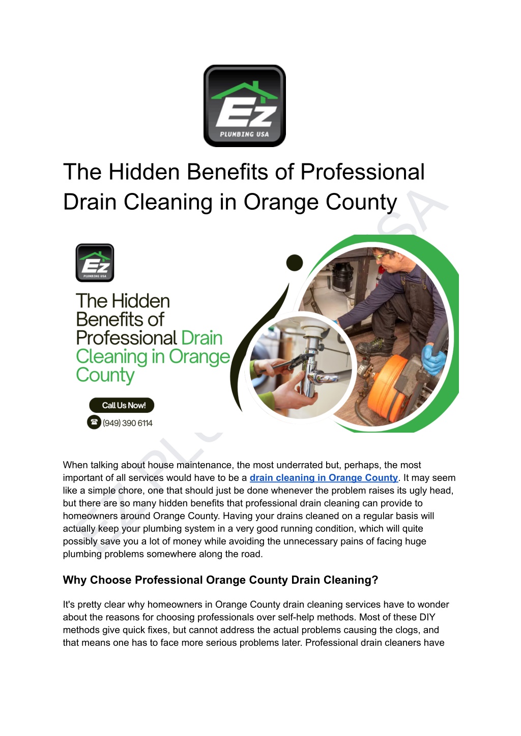 the hidden benefits of professional drain l.w