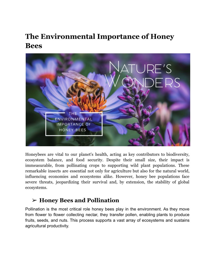 the environmental importance of honey bees n.w
