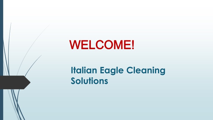 Best Commercial Cleaner in Seacliff