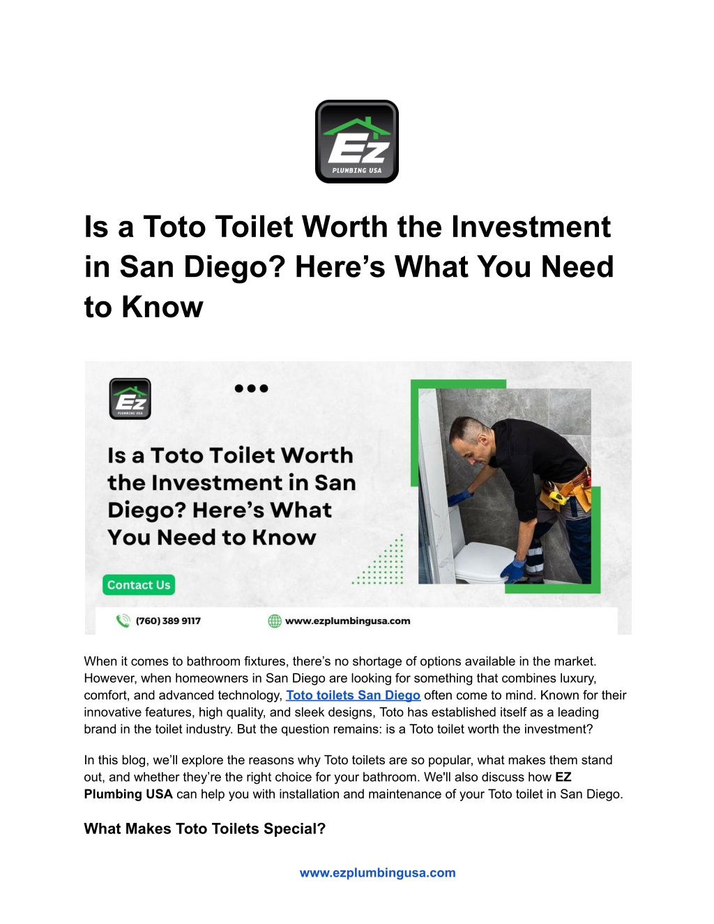 is a toto toilet worth the investment l.w