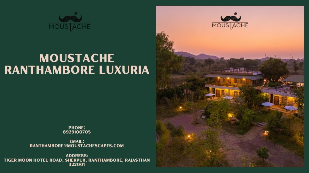 moustache ranthambore luxuria l.w