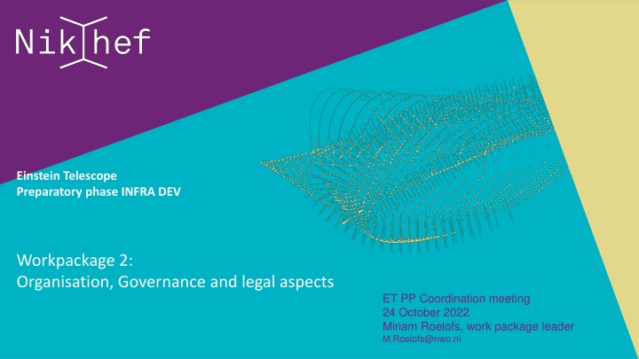 Developing ET Governance Structure for Einstein Telescope Project
