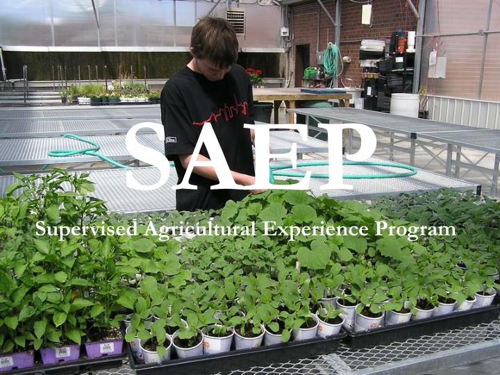 Supervised Agricultural Experience Programs (SAEPs) in Agriculture Education
