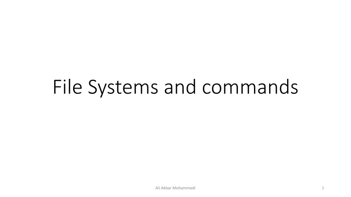 File Systems: File Naming, Extensions, and Structure