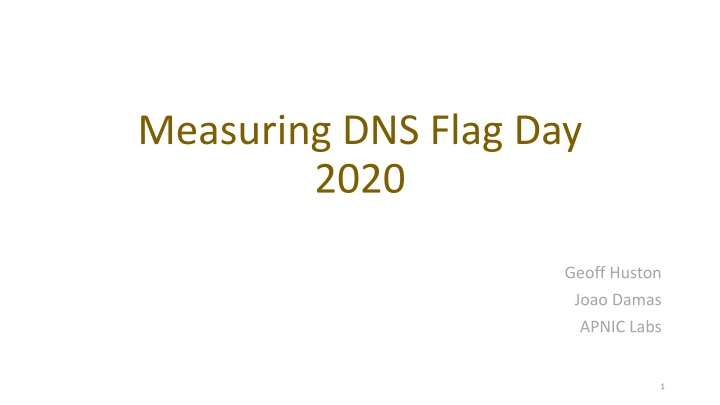 Insights into DNS Flag Day 2020 Trends and Analysis