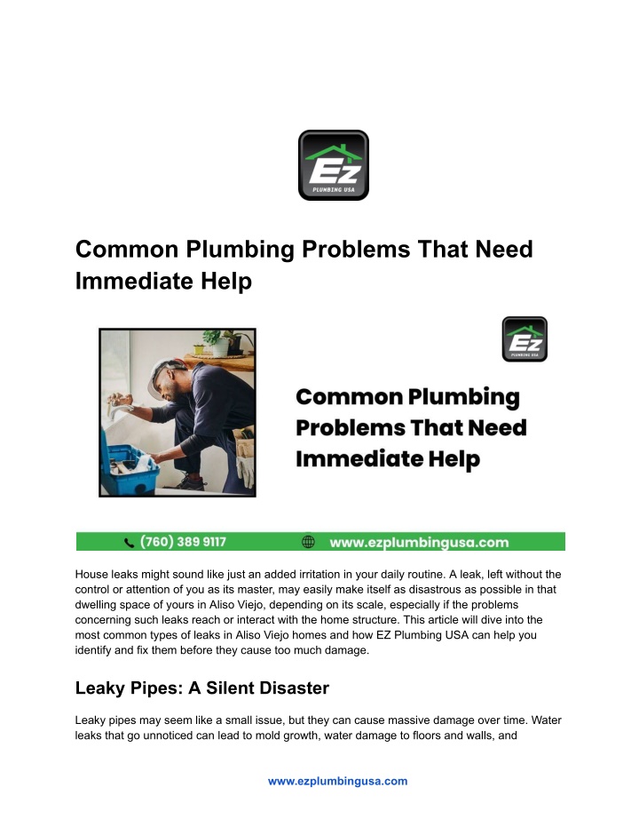 common plumbing problems that need immediate help n.w