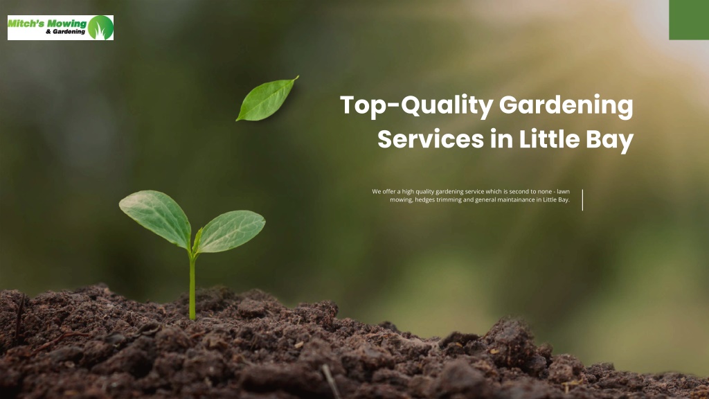 top quality gardening services in little bay l.w