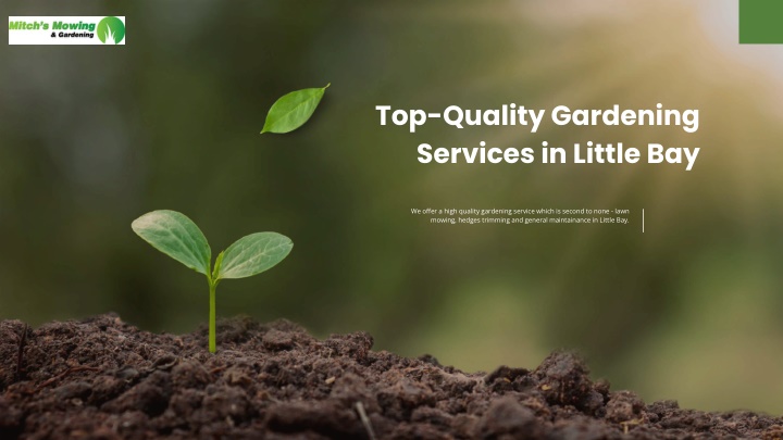 top quality gardening services in little bay n.w