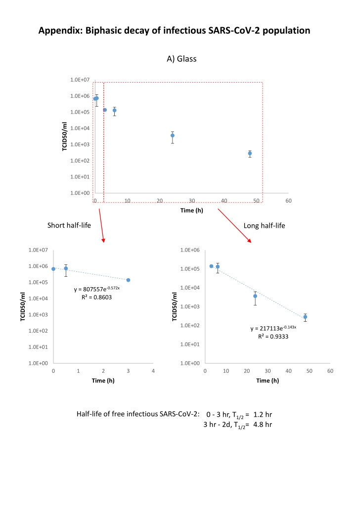 Biphasic Decay of Infectious SARS-CoV-2 Population