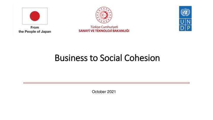 Empowering Women Entrepreneurs for Social Cohesion in Turkey
