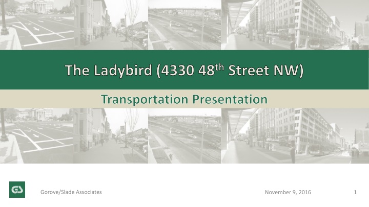 The Ladybird Transportation Project Overview