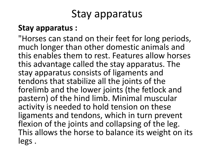 The Anatomy of Horses and Domestic Ruminants