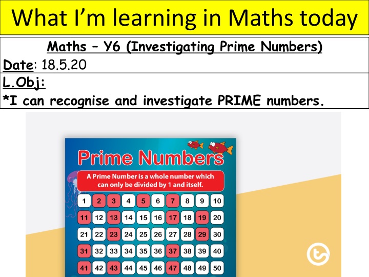 Prime Numbers - Maths Y6 Investigation