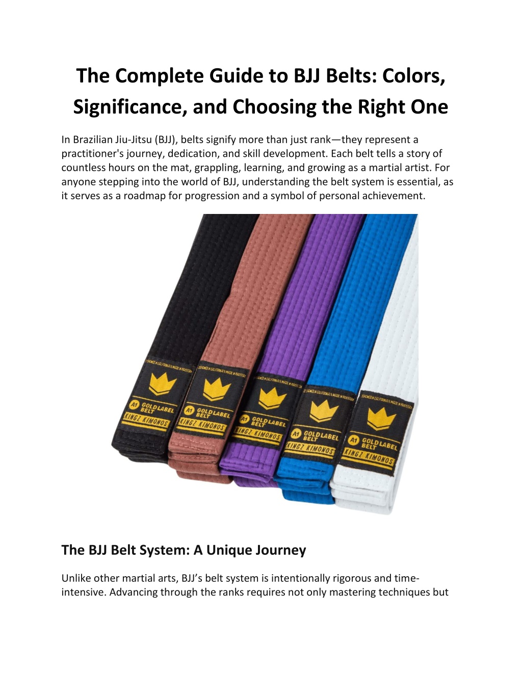 the complete guide to bjj belts colors l.w