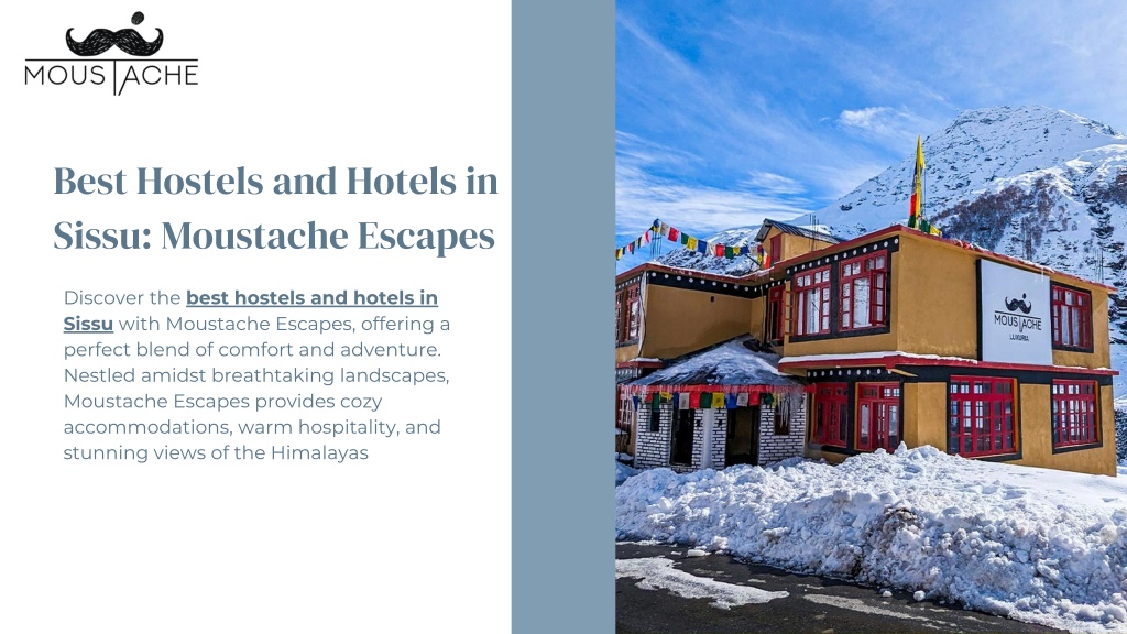 best hostels and hotels in sissu moustache escapes l.w