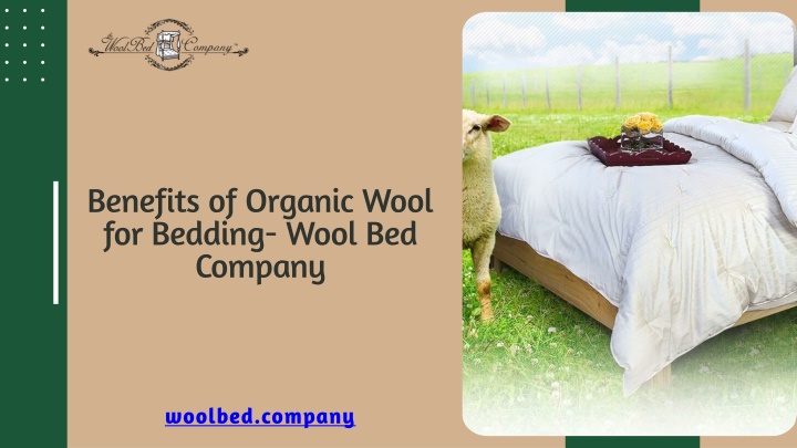 Benefits of Organic Wool for Bedding- Wool Bed Company