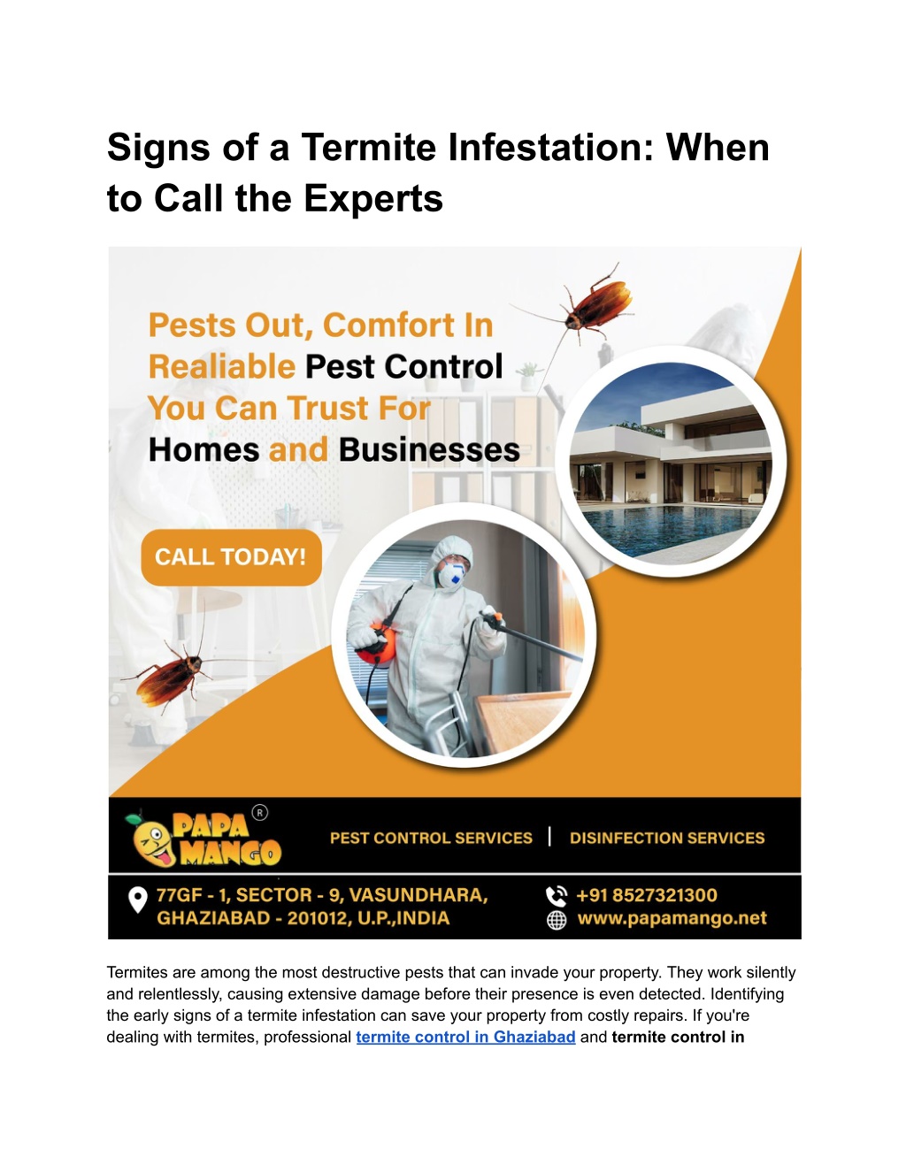 signs of a termite infestation when to call l.w