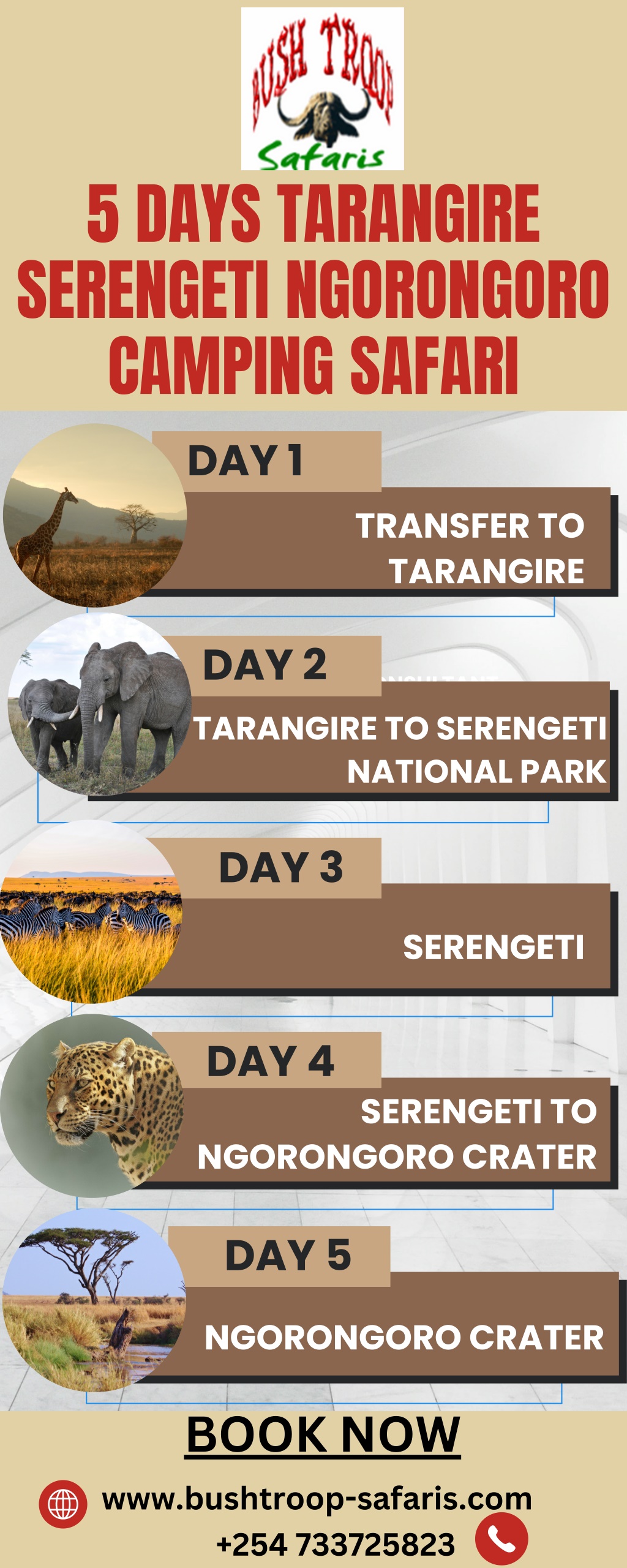 5 days tarangire serengeti ngorongoro camping l.w