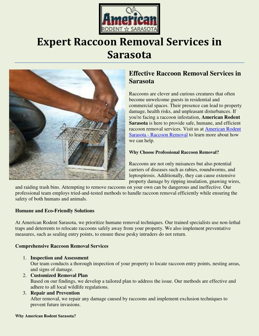 expert raccoon removal services in sarasota l.w