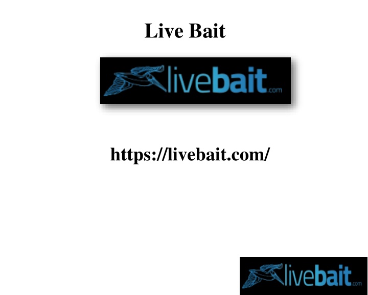 Best Casting Net, livebait.com