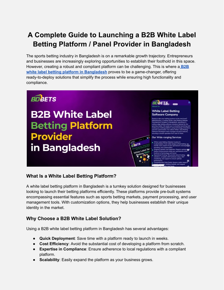 a complete guide to launching a b2b white label n.w