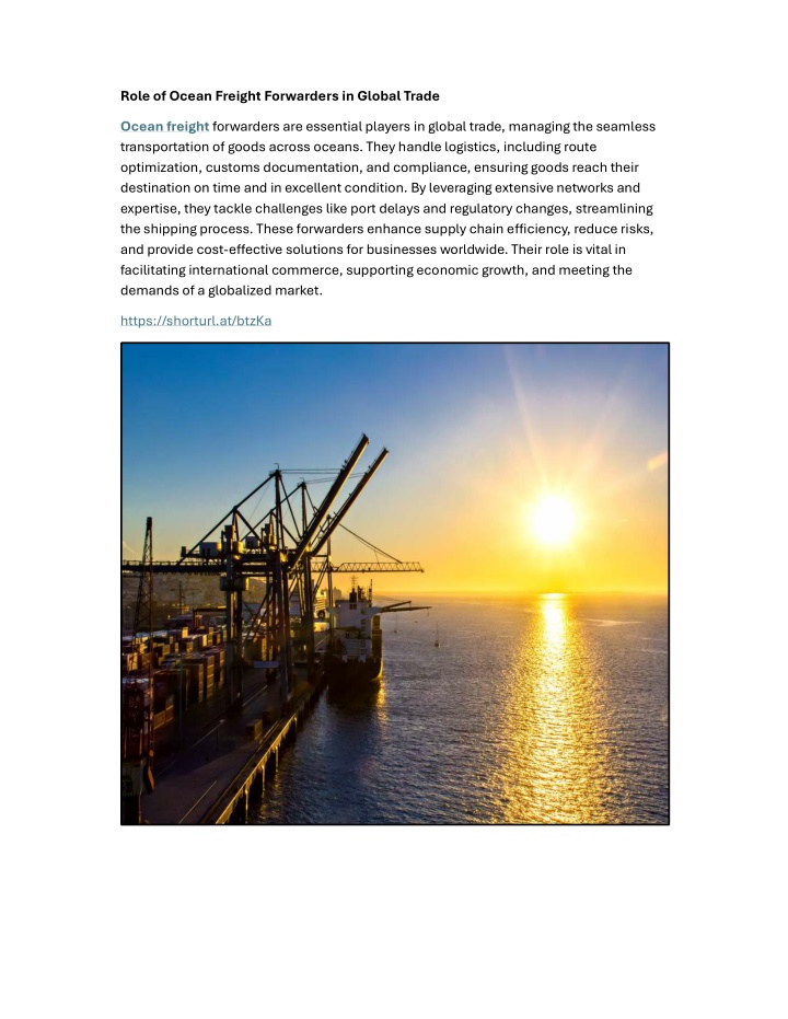 role of ocean freight forwarders in global trade n.w