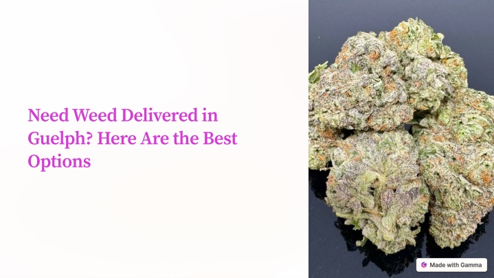 need weed delivered in guelph here are the best n.w