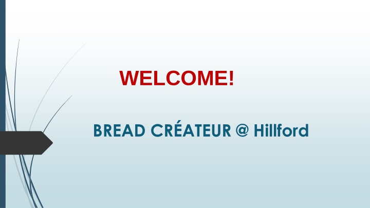 Best Sourdough in Beauty World