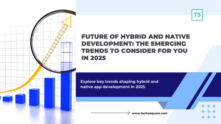 future of hybrid and native development n.w