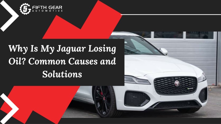 Why Is My Jaguar Losing Oil Common Causes and Solutions