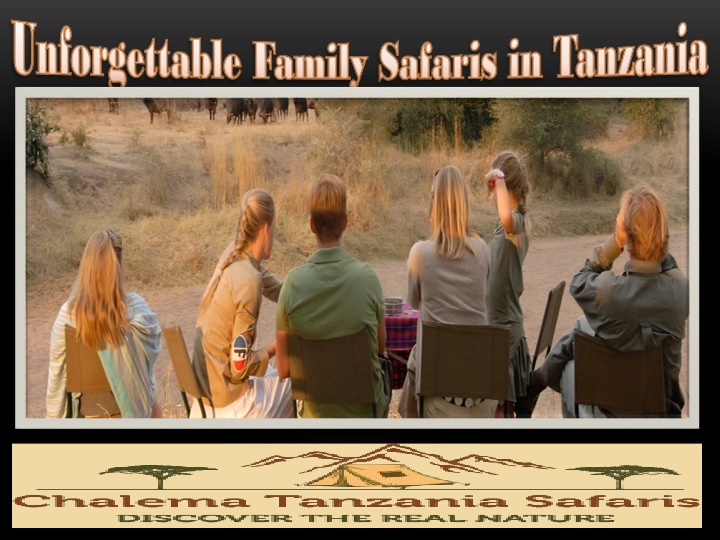 Unforgettable Family Safaris in Tanzania