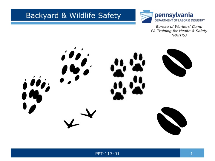 Backyard & Wildlife Safety