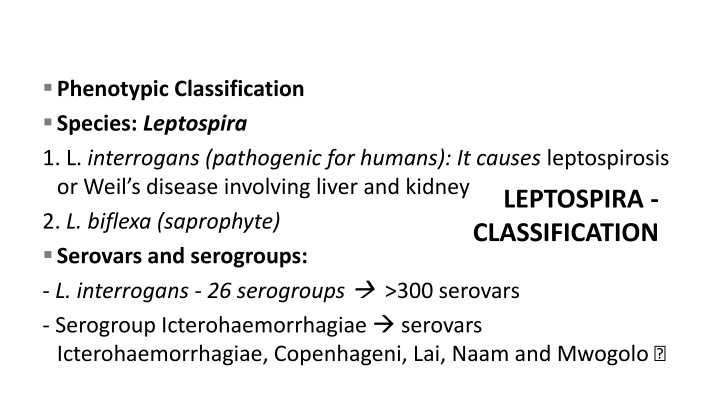 Phenotypic Classification of Leptospira Species